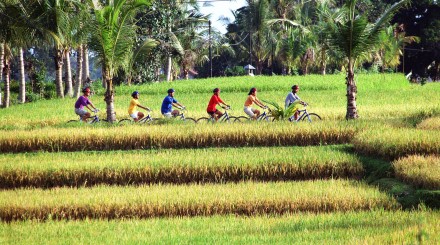 Les rizières en vélo électrique