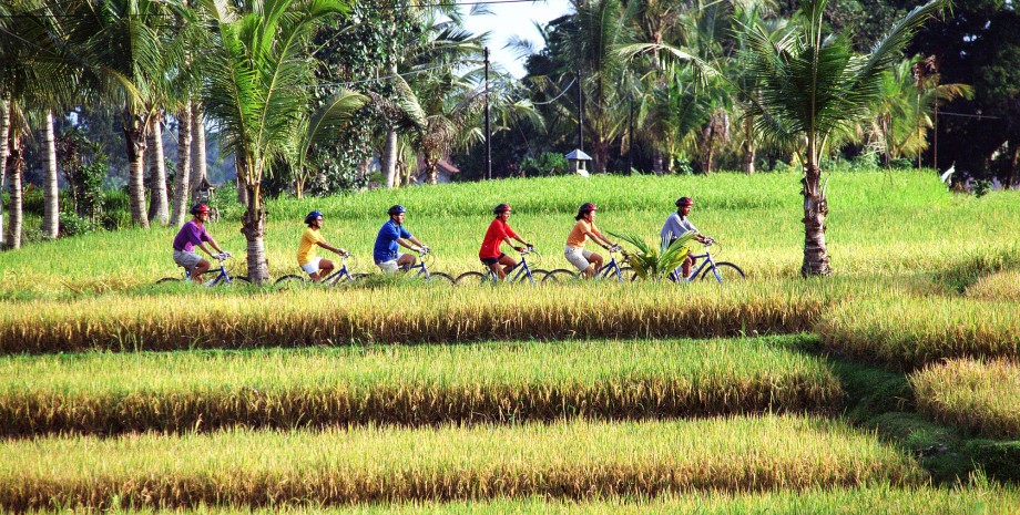 Les rizières en vélo électrique
