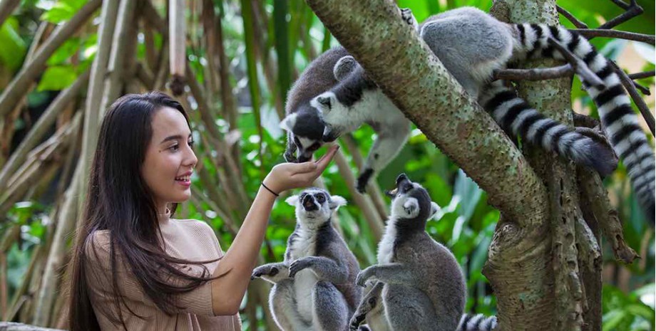 Journée au Zoo de Bali