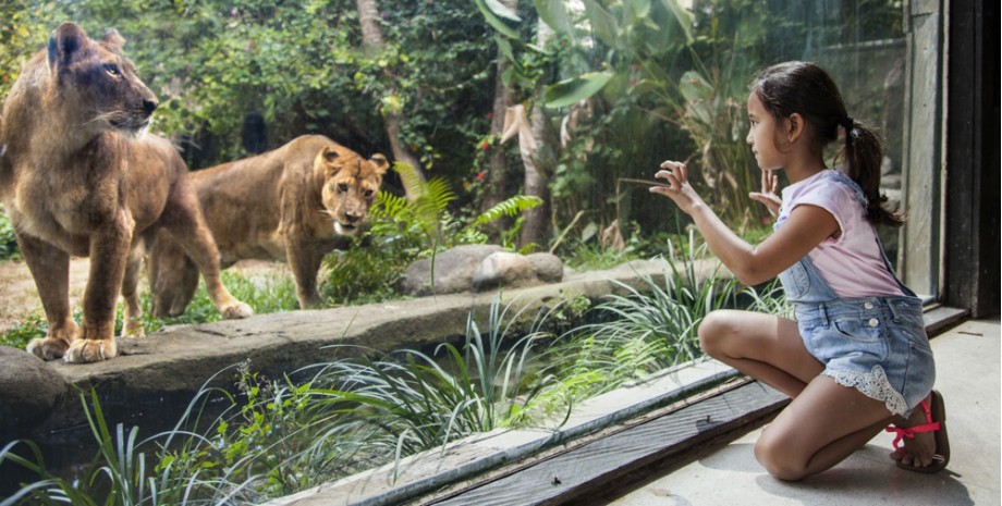 Journée au Zoo de Bali