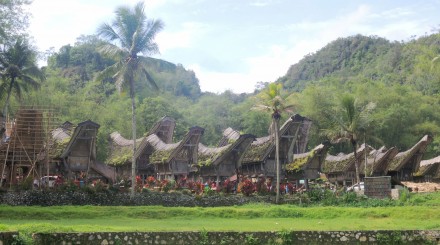 Le pays Toraja